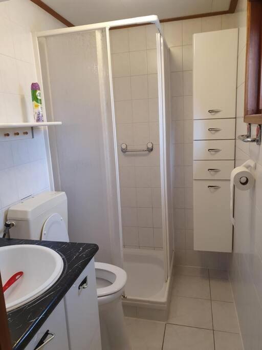 Cozy Chalet For 4 Veluwe プッテン エクステリア 写真